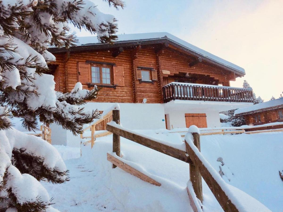 El Chalet Du Pere Castor Bolquere Pyrenees 2000 المظهر الخارجي الصورة